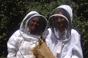 bee suits
