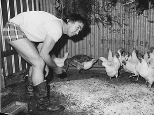 chooks-don-dunstan